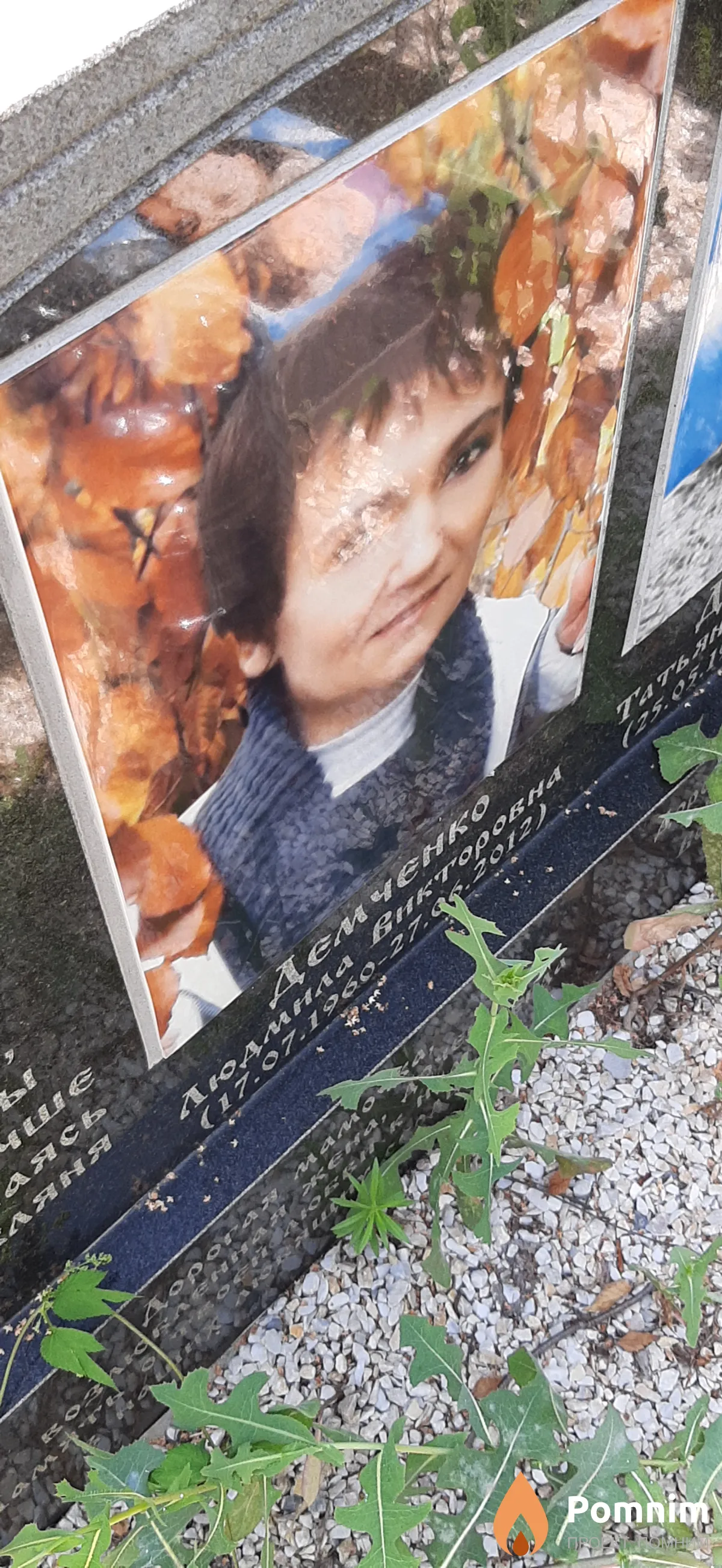 Дэмчэнко Людмила Викторовна