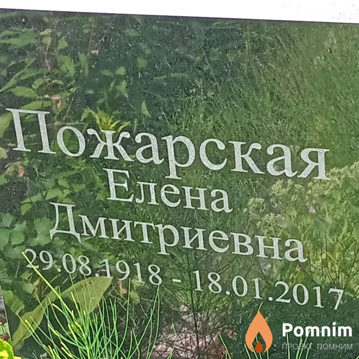 Пожарская Елена Дмитриевна
