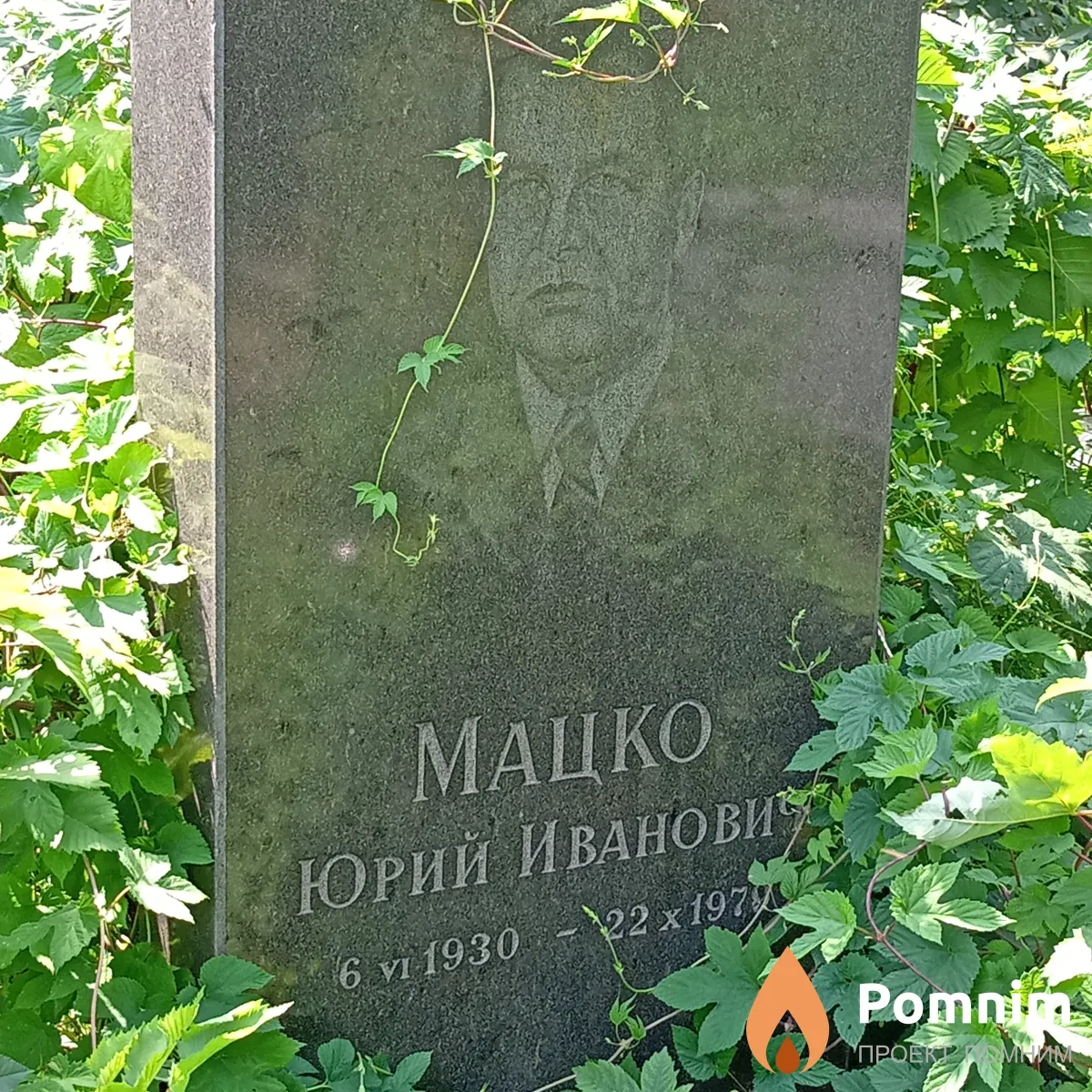 Мацко Юрий Иванович