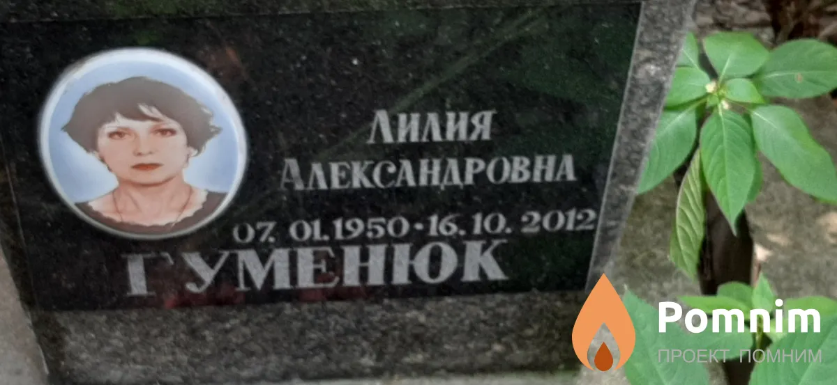 Гуменюк Лилия Александровна