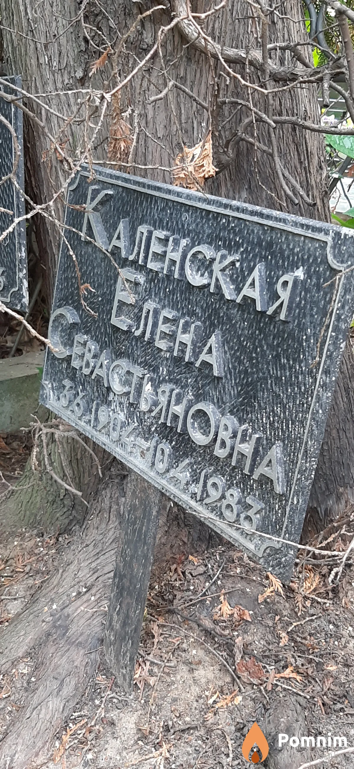 Каленская Елена Севастьянова