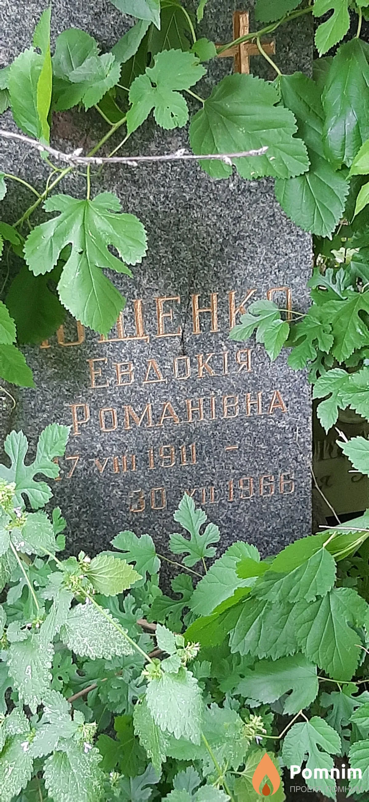 Ющенко Евдокия Романовна