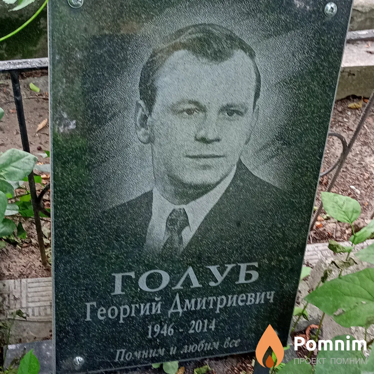 Голуб Георгий Дмитриевич