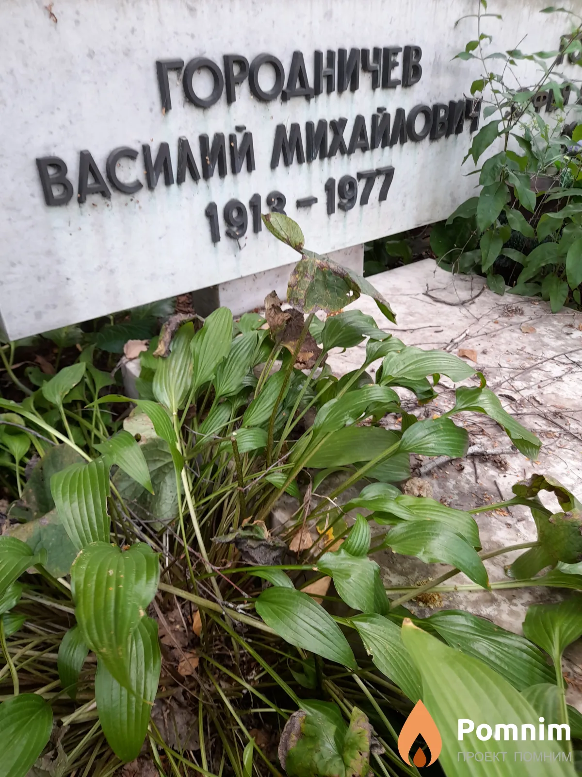 Городничев Василий Михайлович