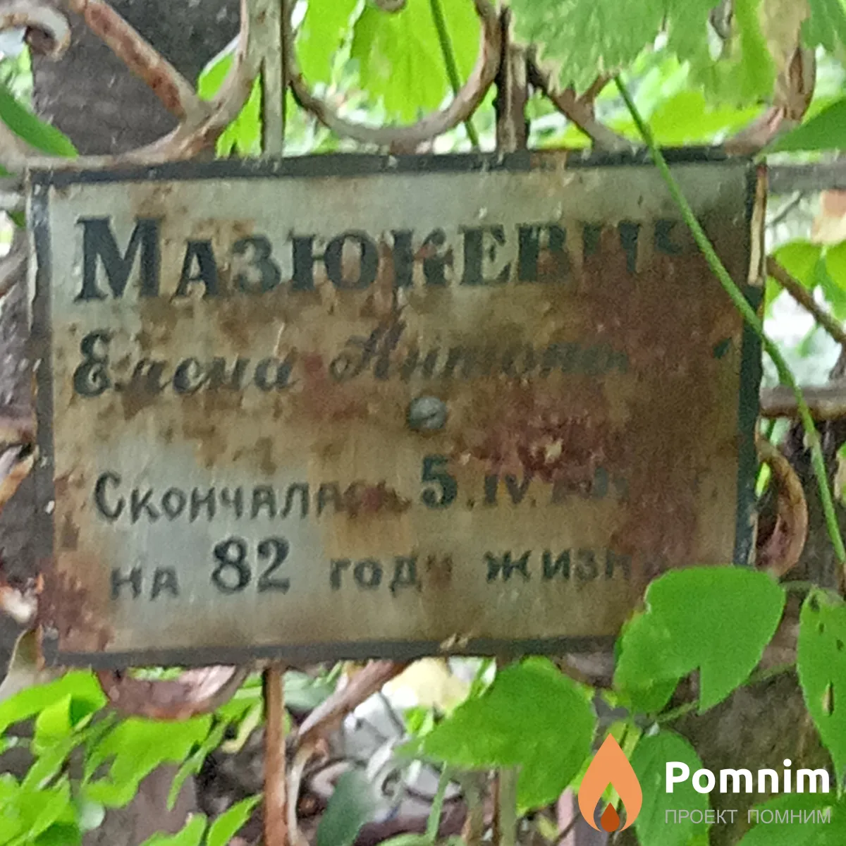 Мазюкевич Еоена Антоновна