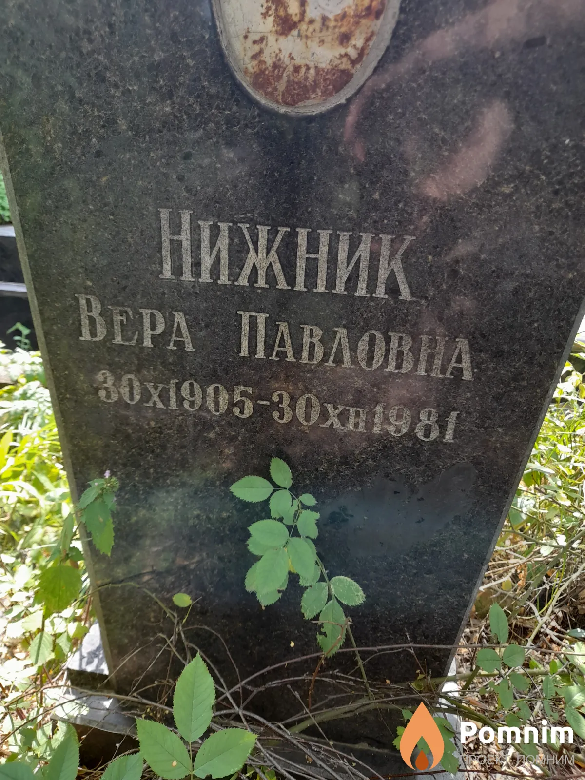Нижник Вера Павловна