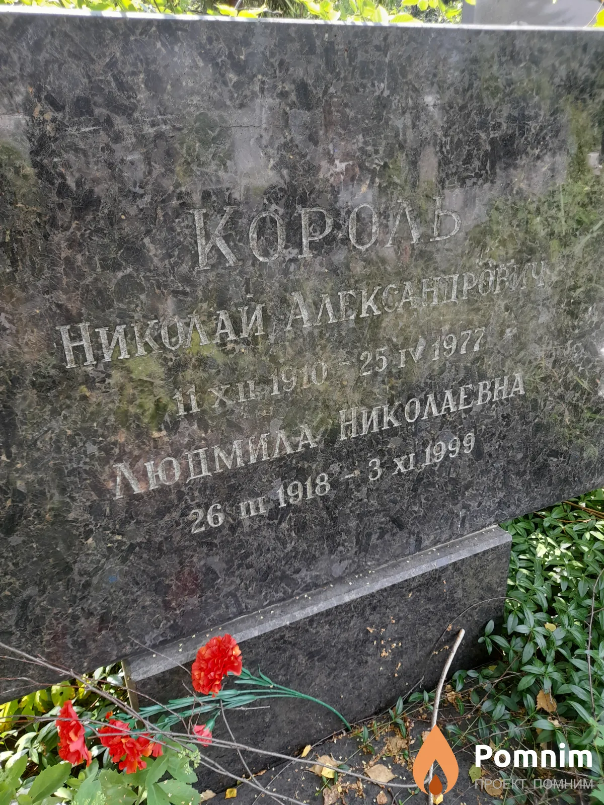 Король Николай Александрович