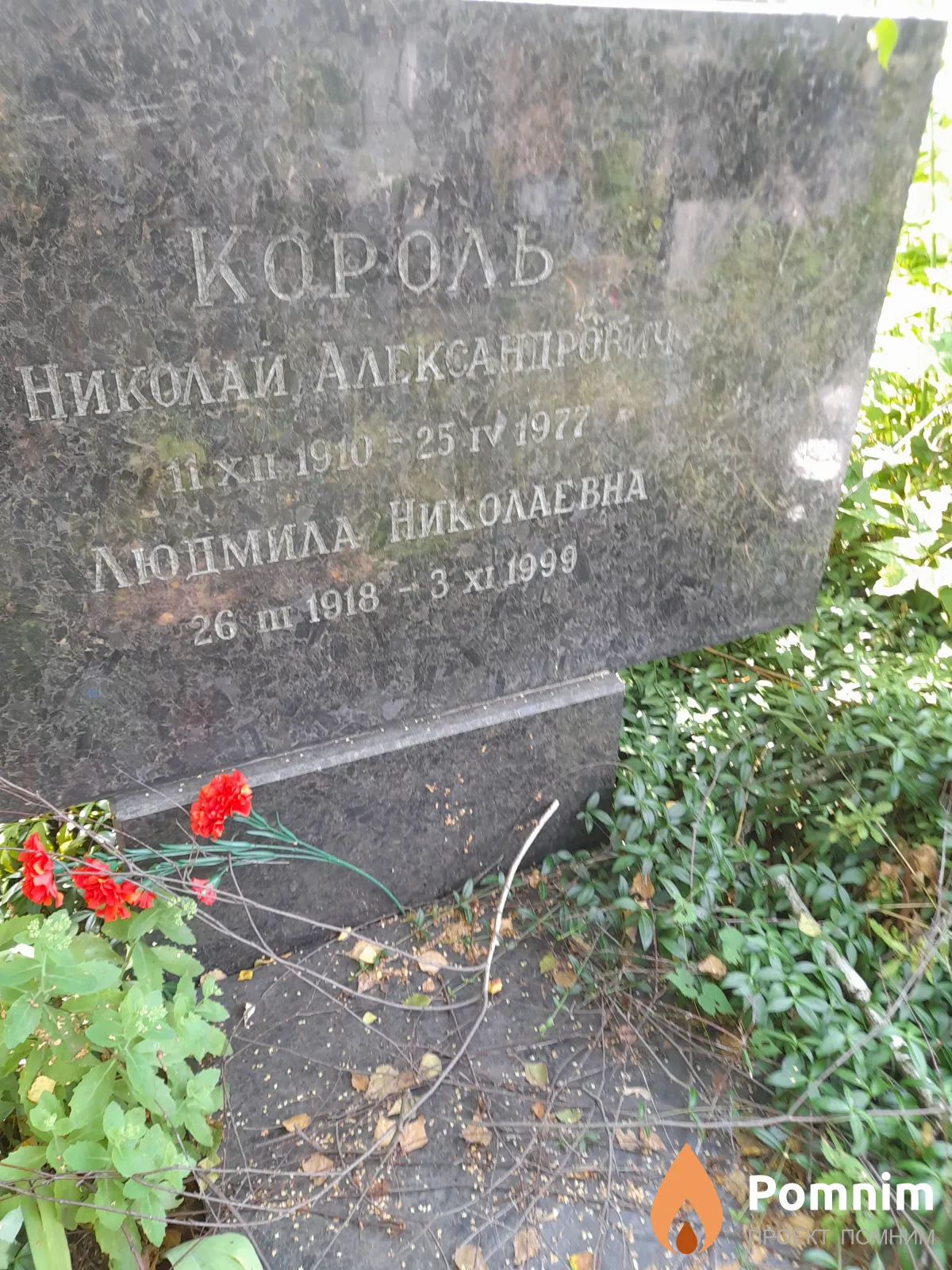 Король Людмила Николаевна