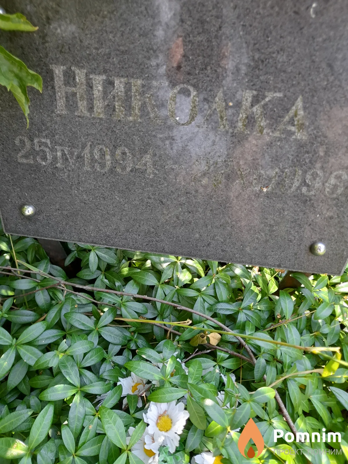 Король Николка