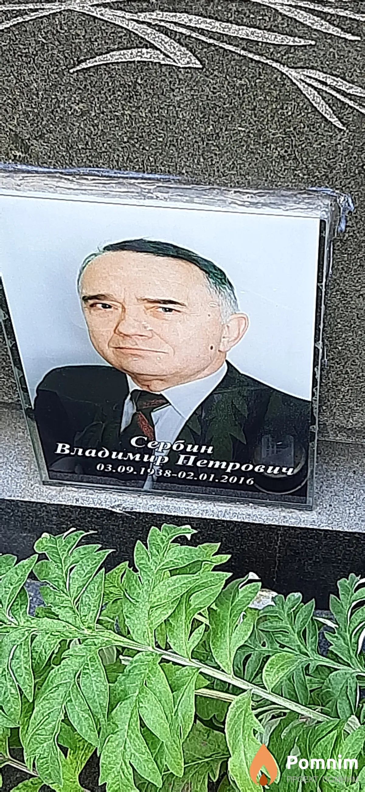 Сербин Владимир Петрович