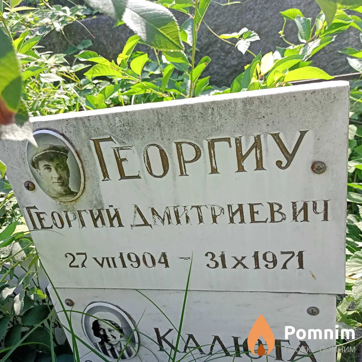 Георгиу Георгий Дмитриевич