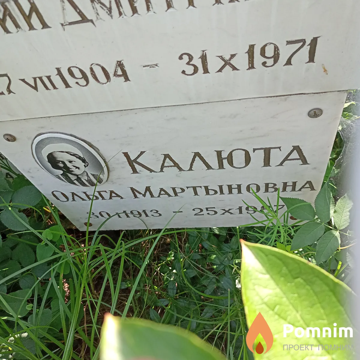Калюта Ольга Мартыновна