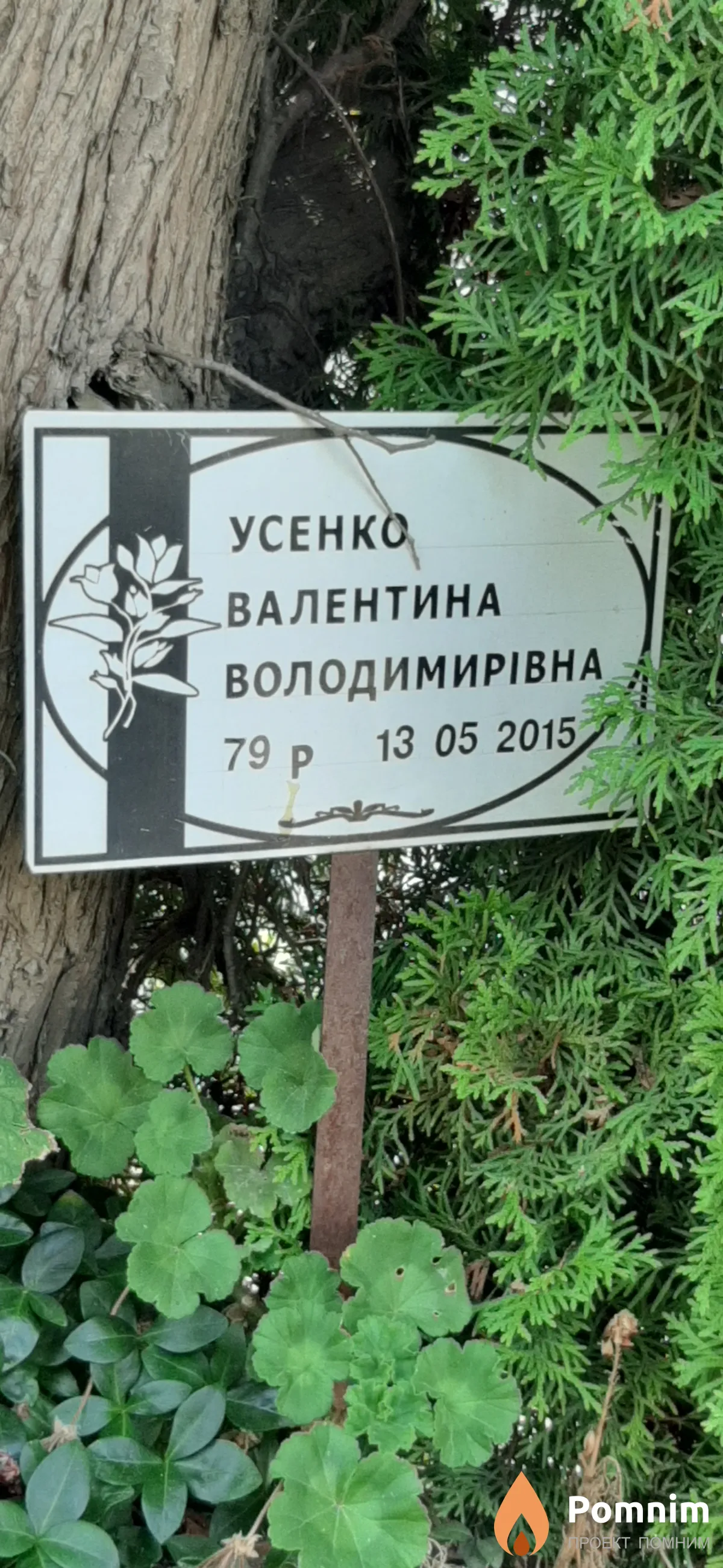 Усенко Валентина Володимирівна