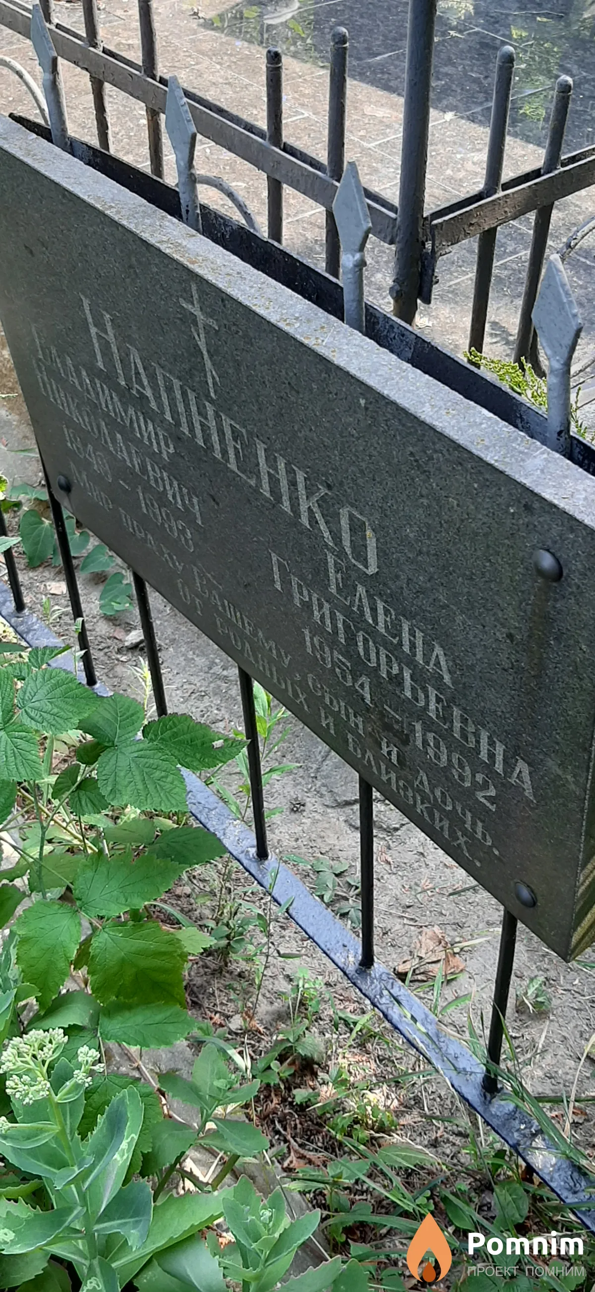 Напненко Елена Григорьевна