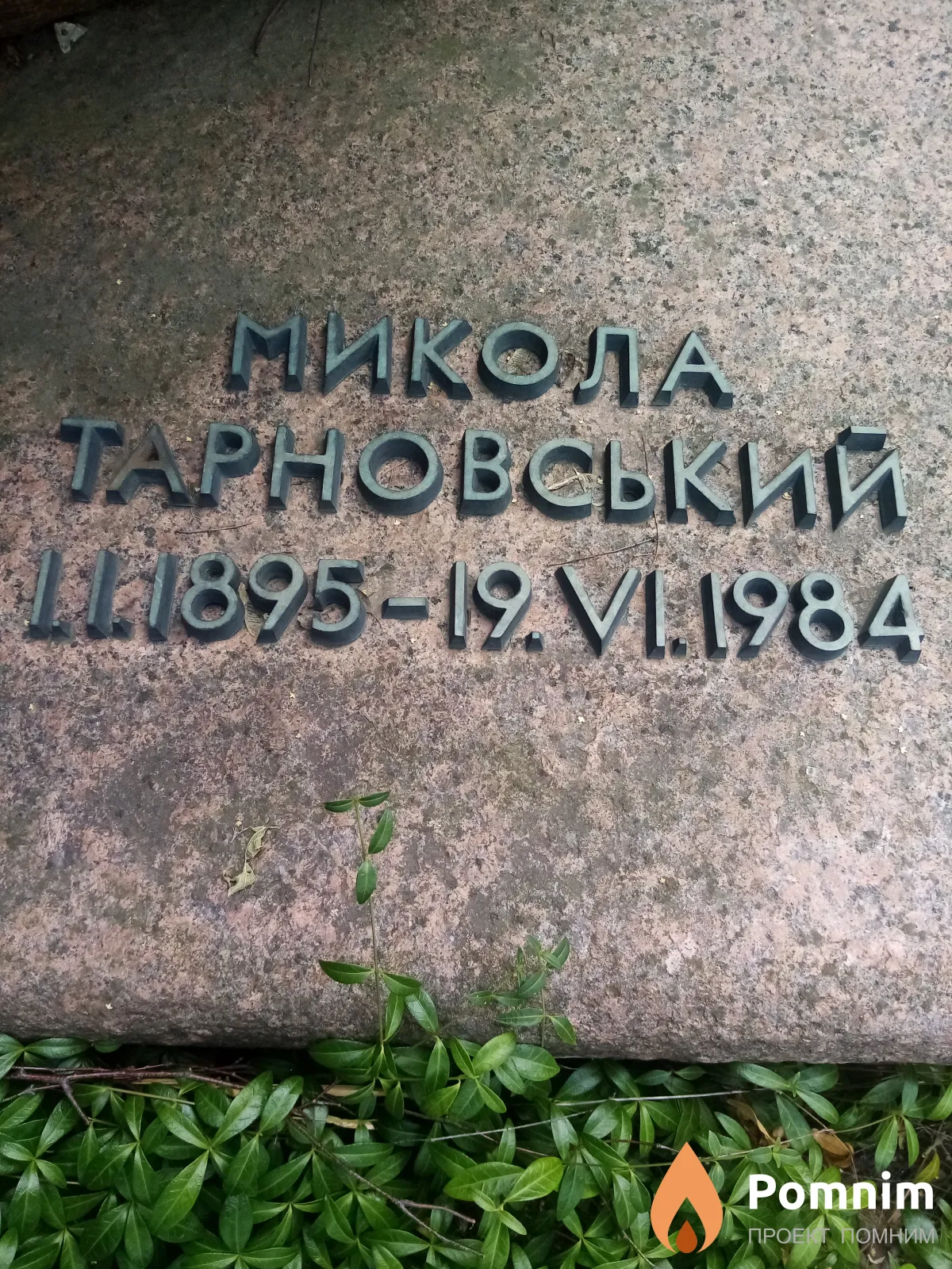 Микола Тарновський