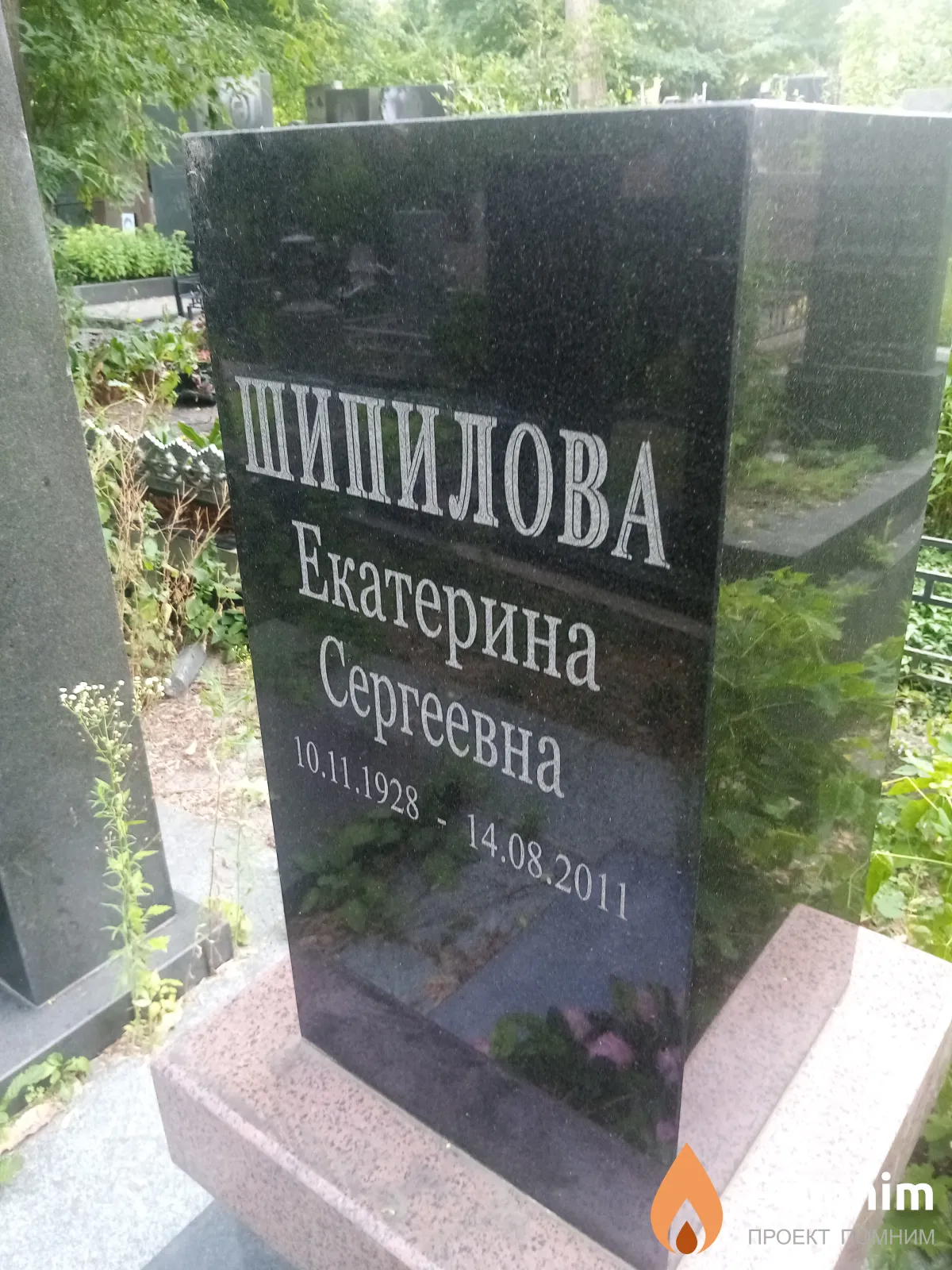 Шипилова Екатерина Сергеевна