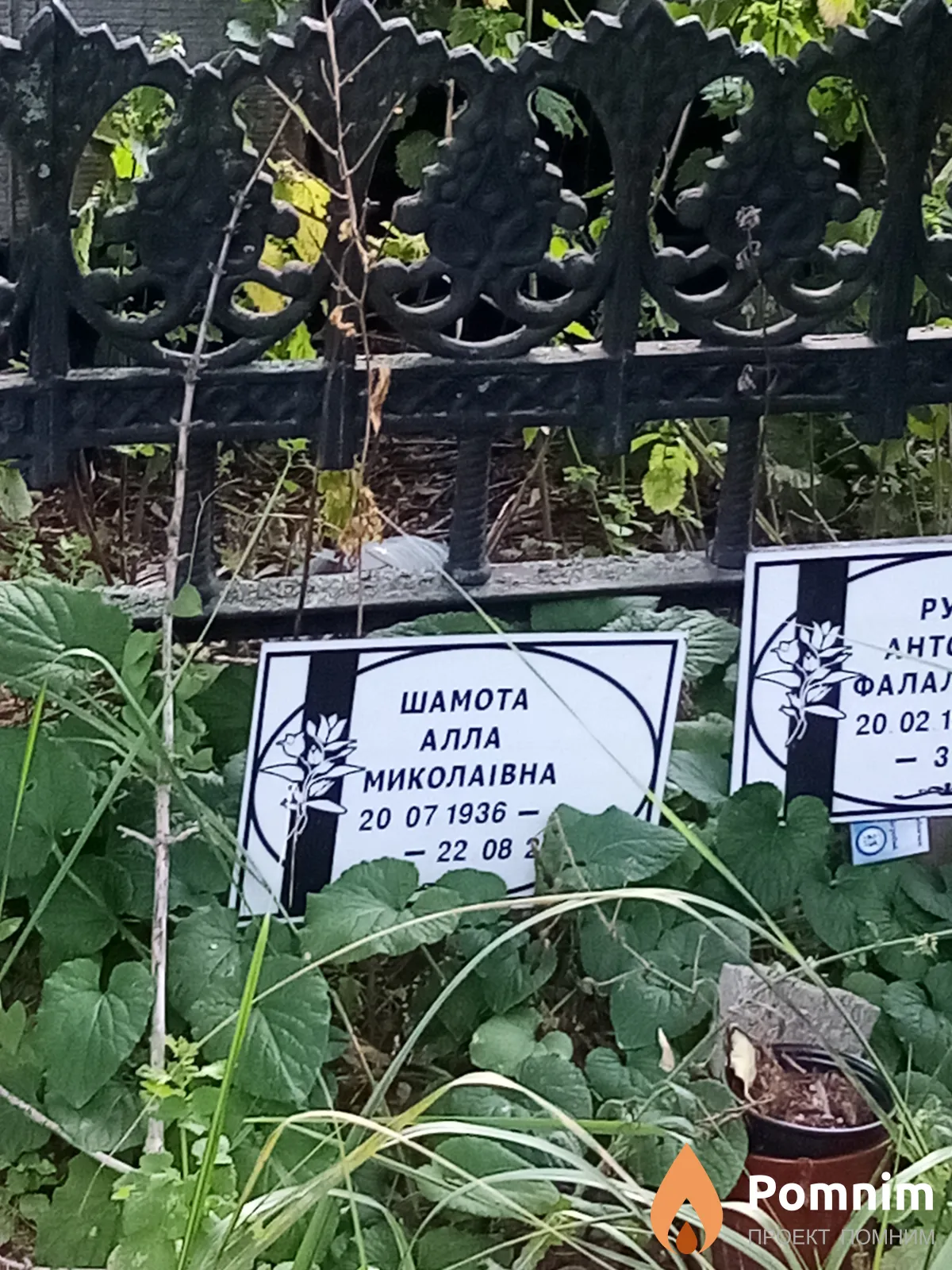 Шамота Алла Миколаївна