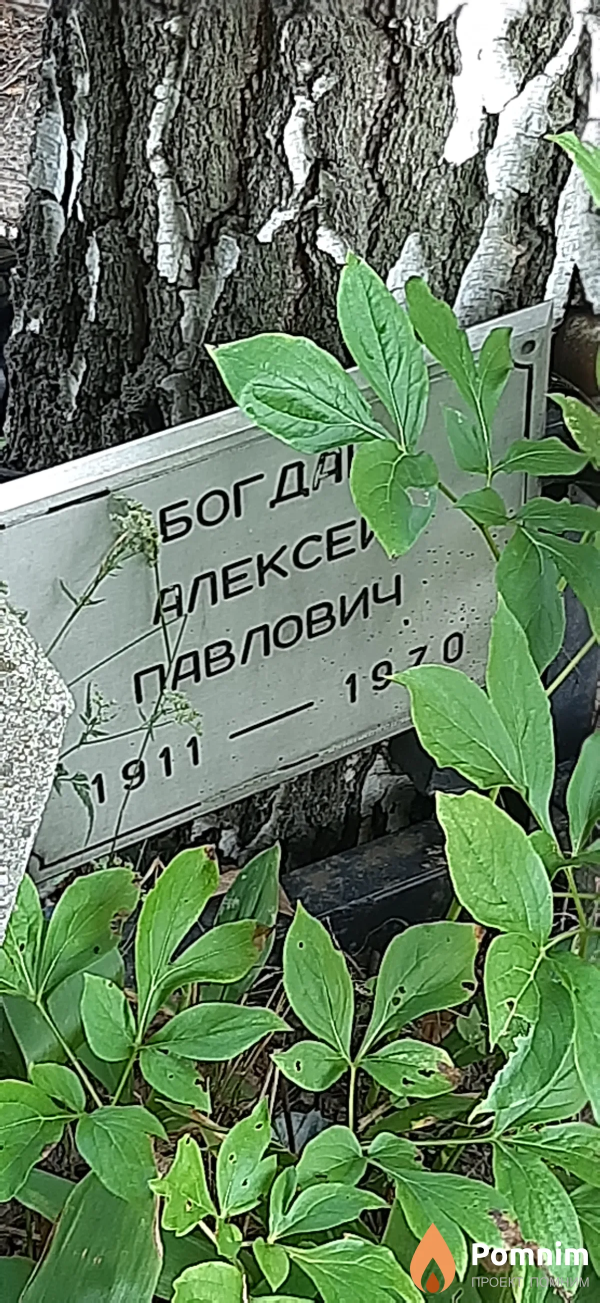 Богдан Алексей Павлович