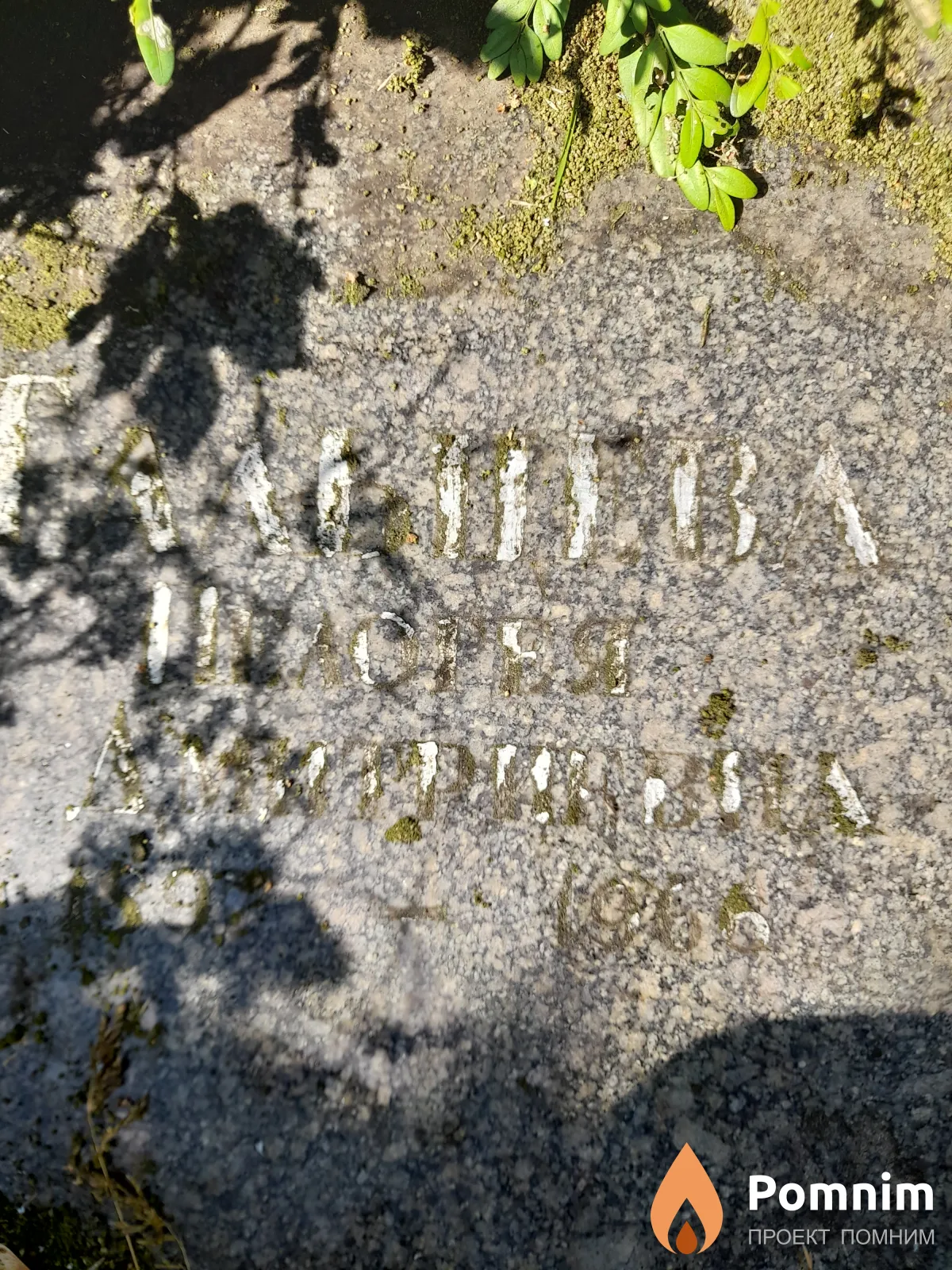 Гальцева Пелогея Дмитриевна