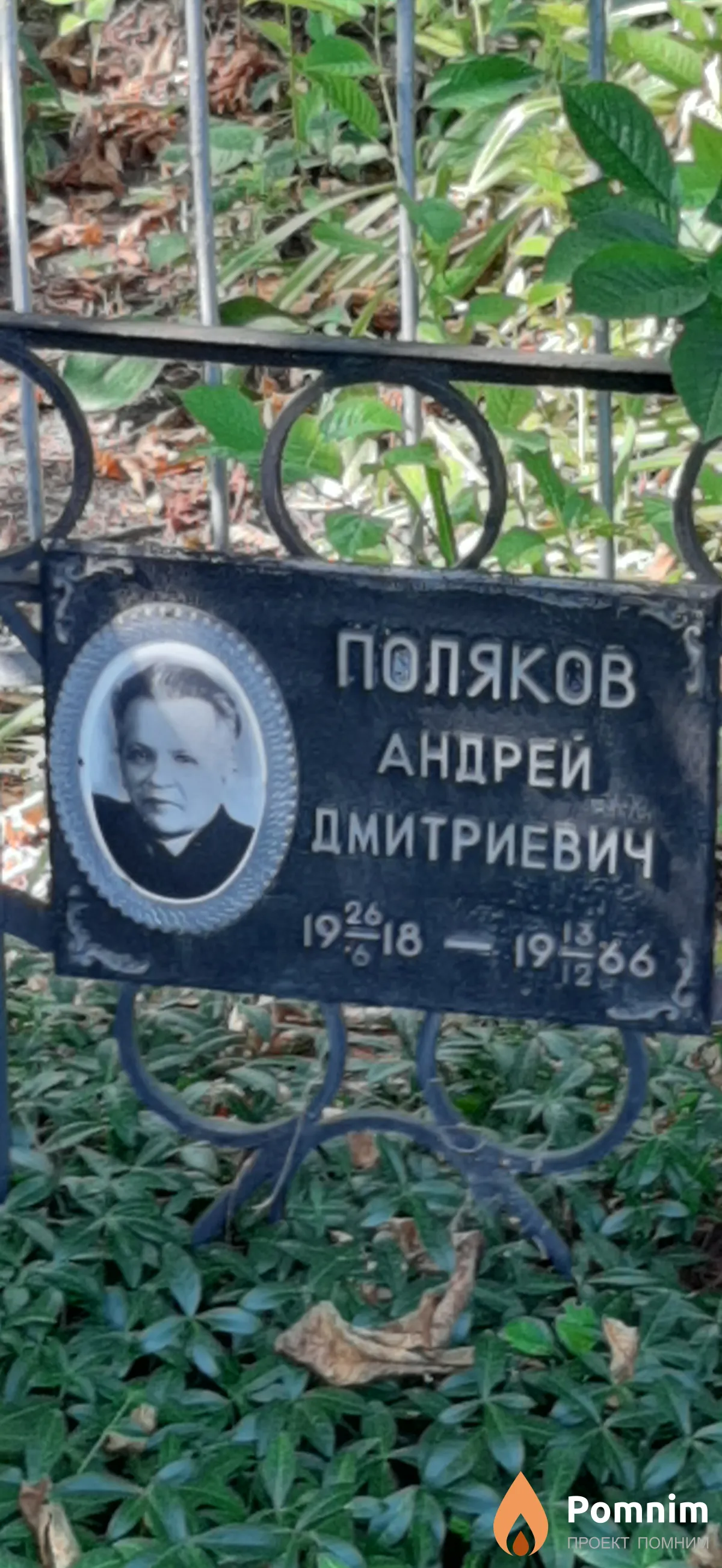 Поляков Андрей Дмитриевич
