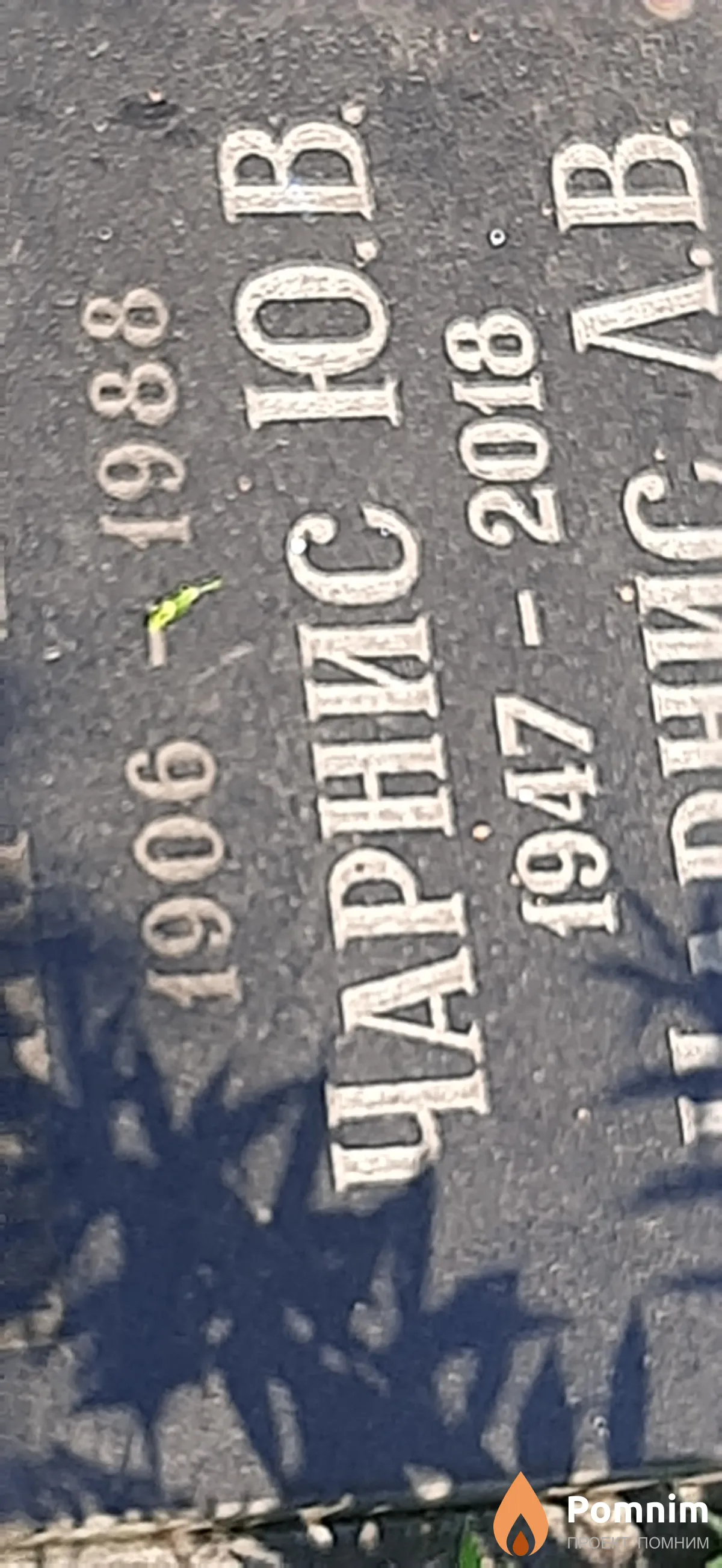 Чарнис Ю. В.