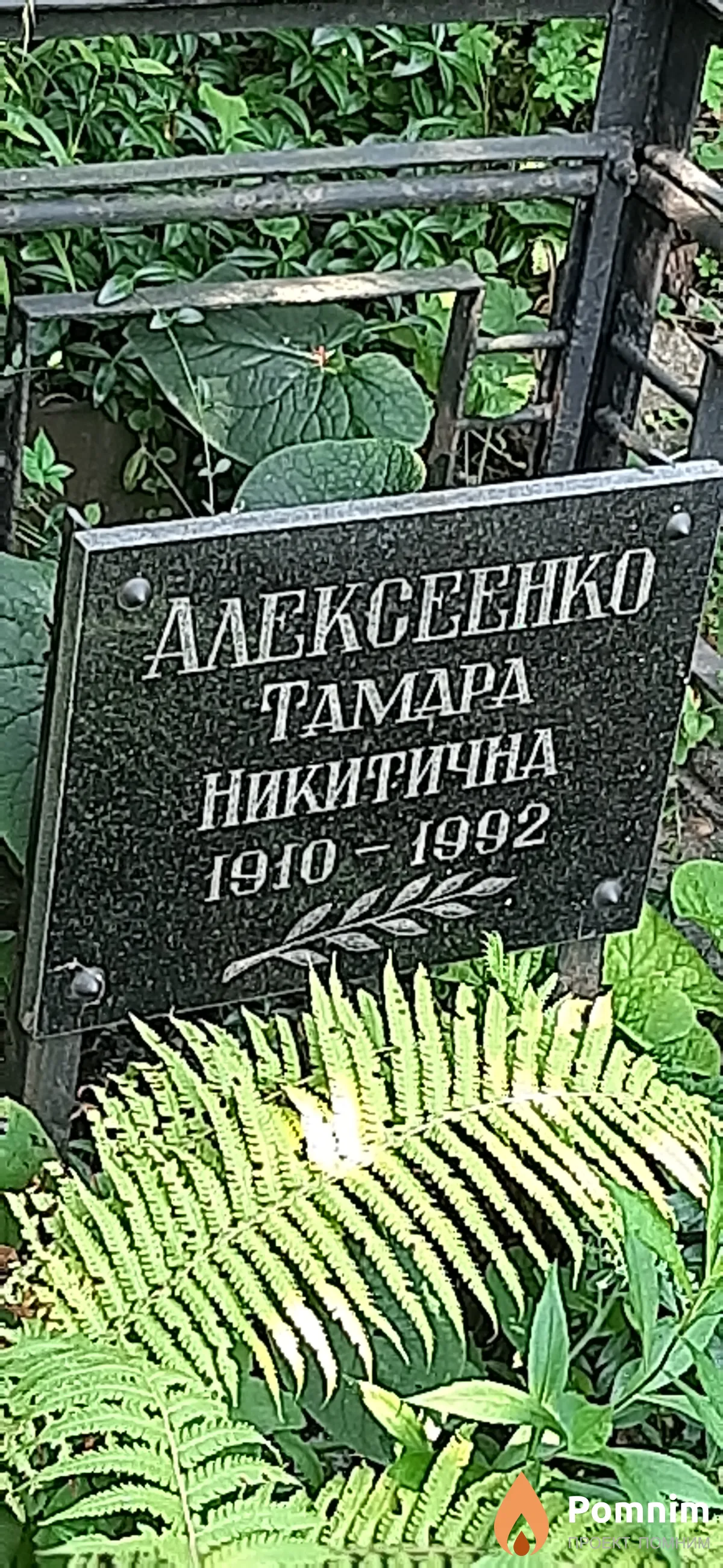 Алексеенко Тамара Никитична