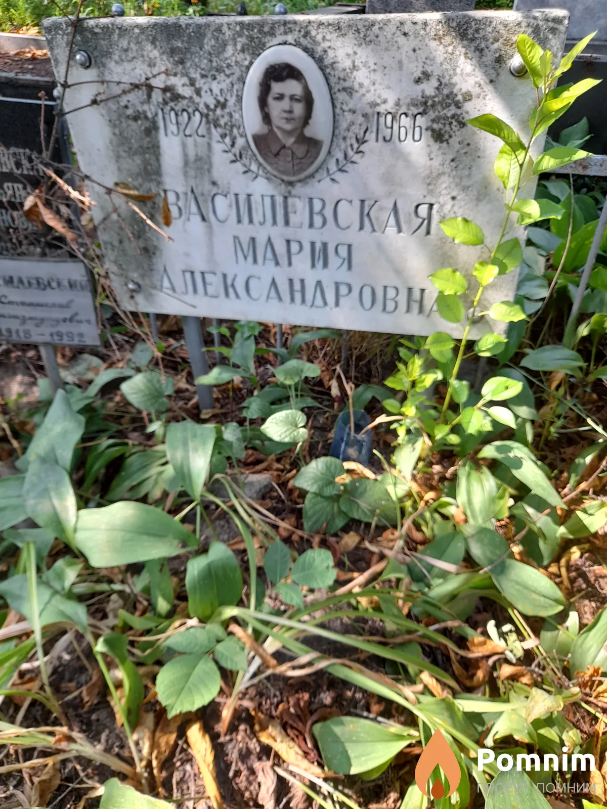 Василевская Мария Александровна