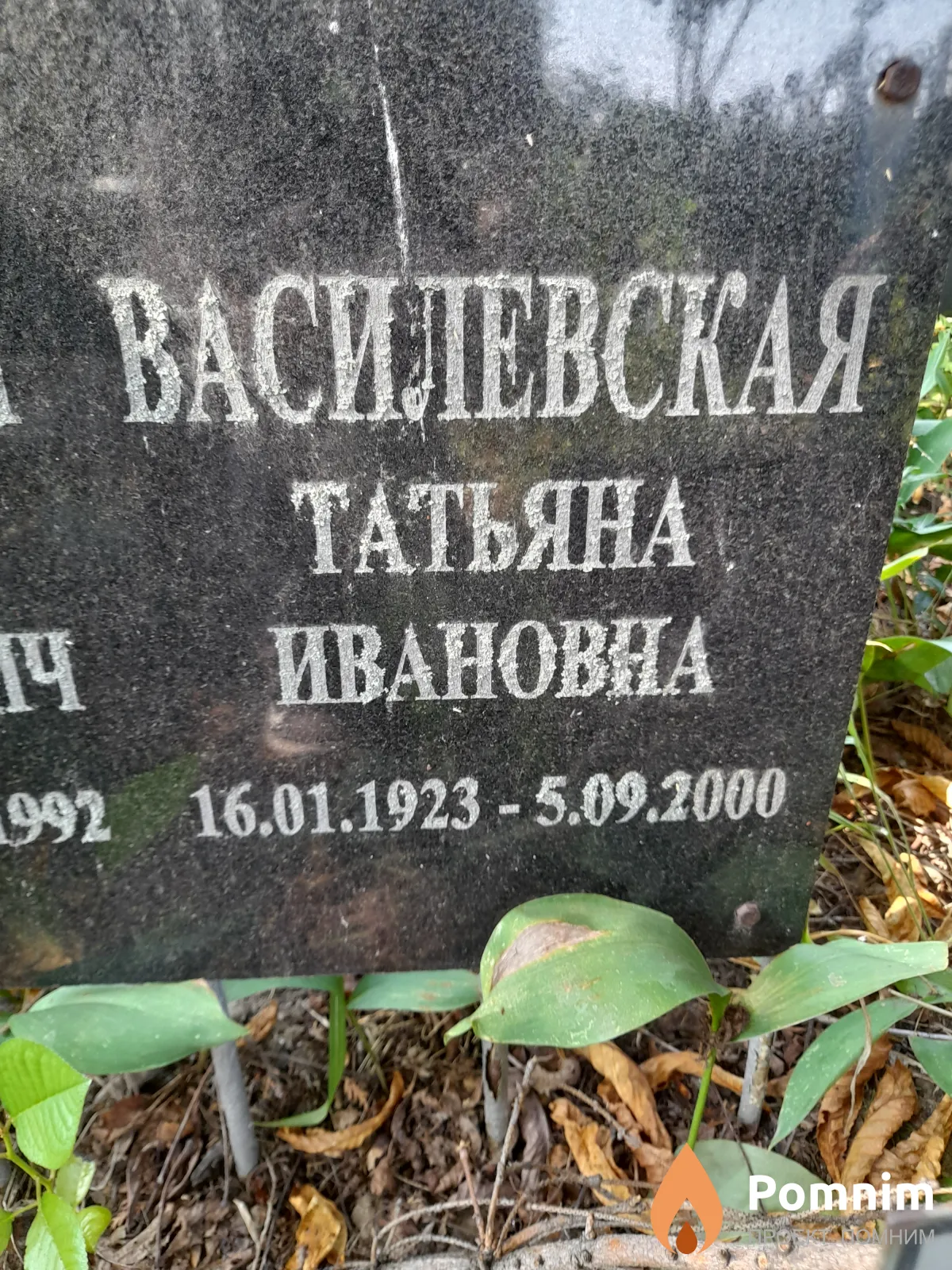 Василевская Татьяна Ивановна