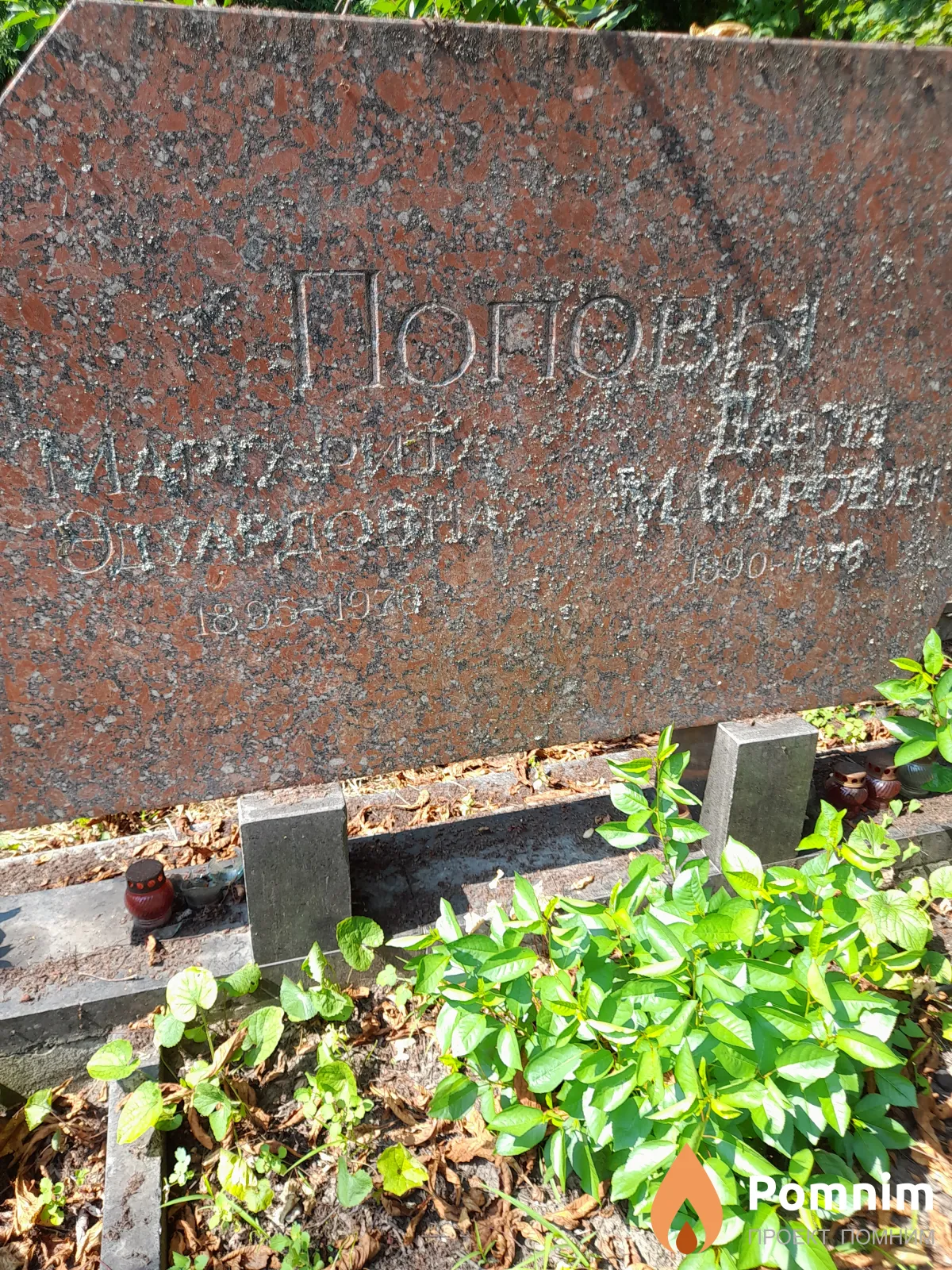 Попова Маргарита Эдуардовна