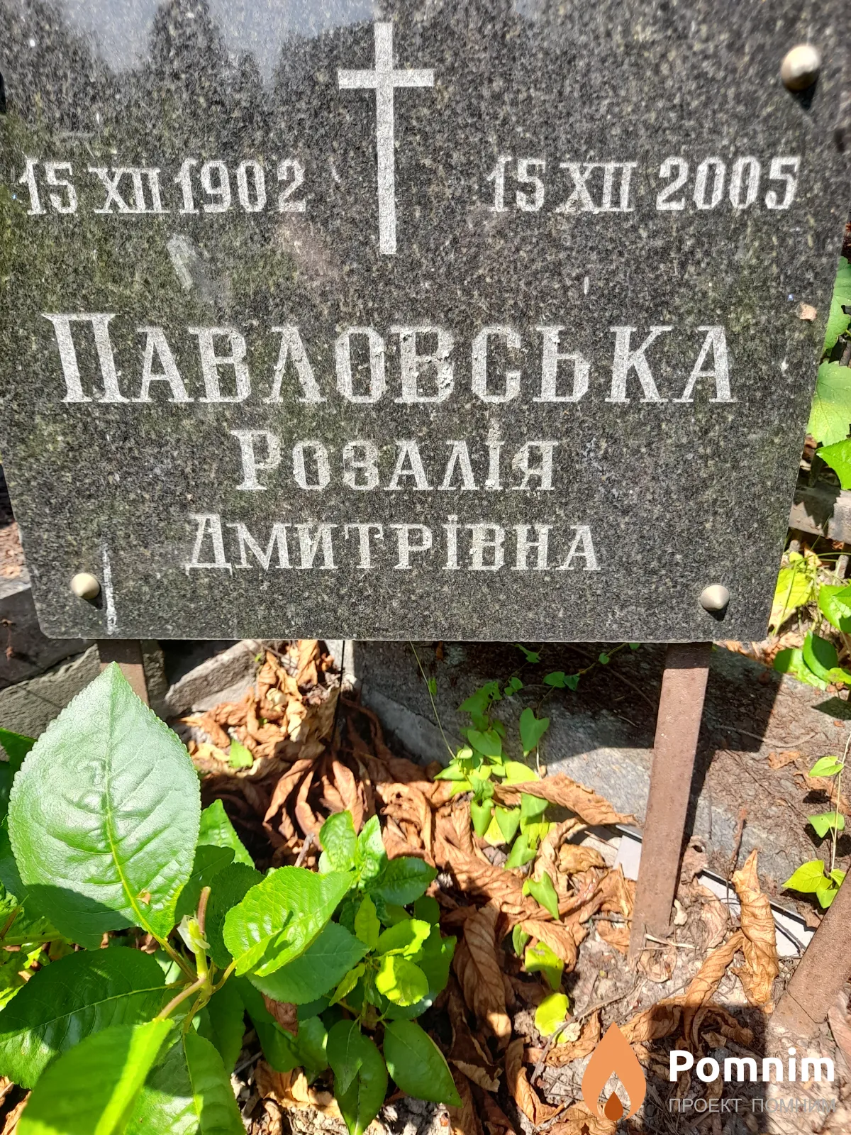 Павловська Розалія Дмитрівна