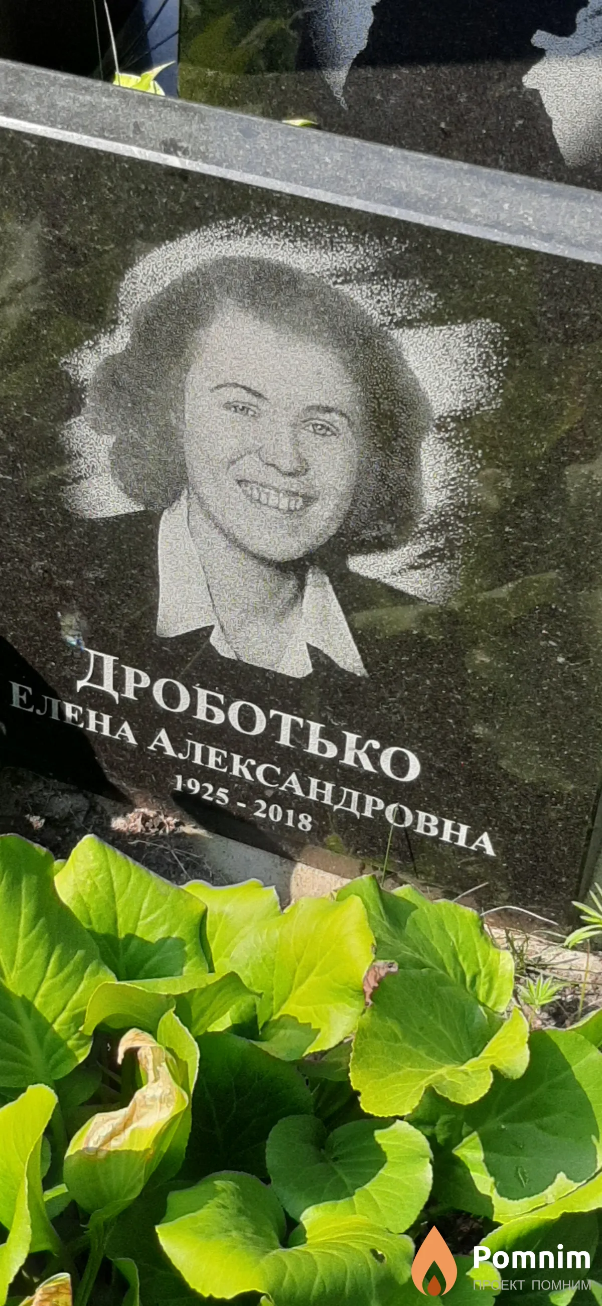 Дроботько Елена Александровна
