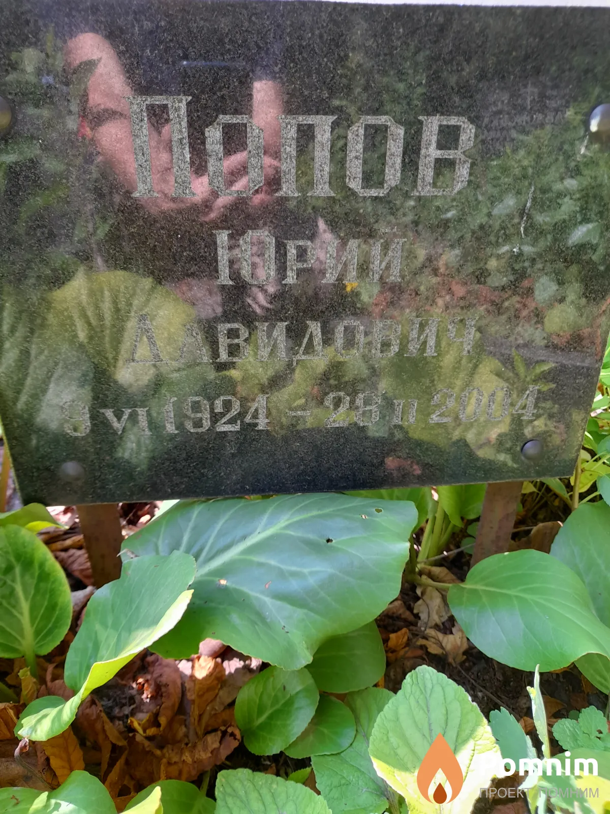 Попов Юрий Давидович