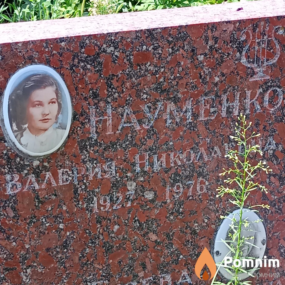Науменко Валерия Николаевна