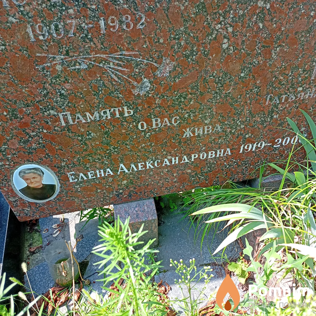 . Елена Александровна