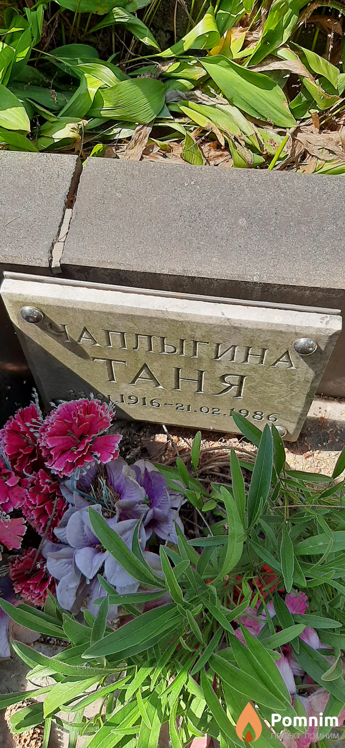 Цаплыгина Таня -