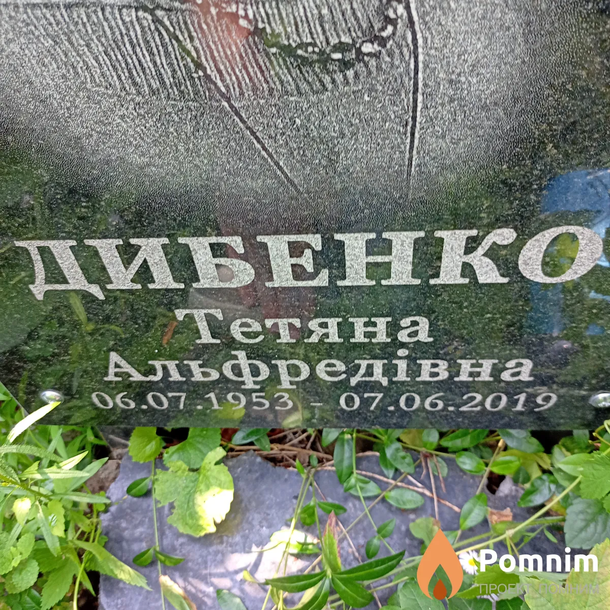 Дибенко Тетяна Альфредовна