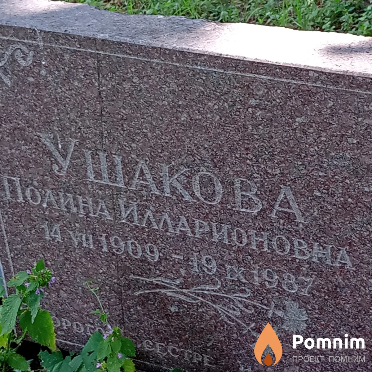 Ушакова Полина Илларионовна