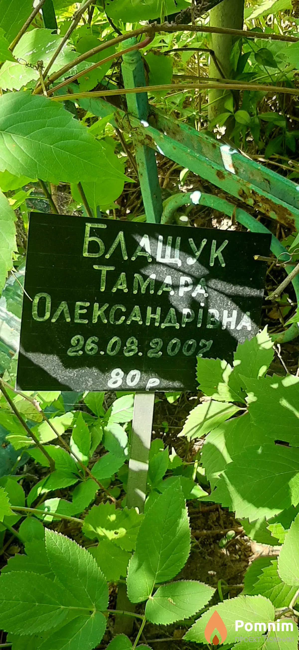 Блащук Тамара Александровна