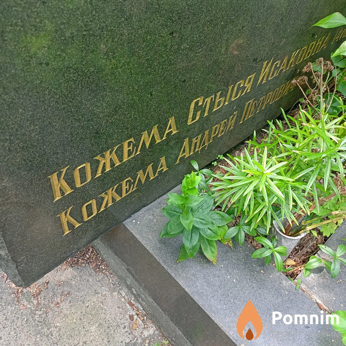 Кожема Стыся Исаковна