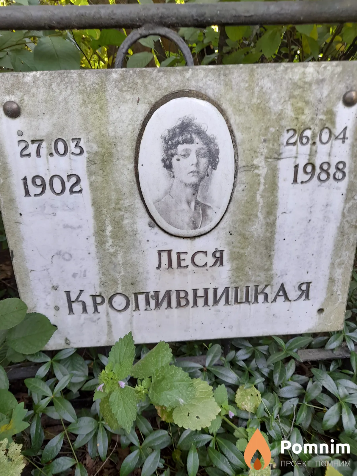 Кропивницкая Леся