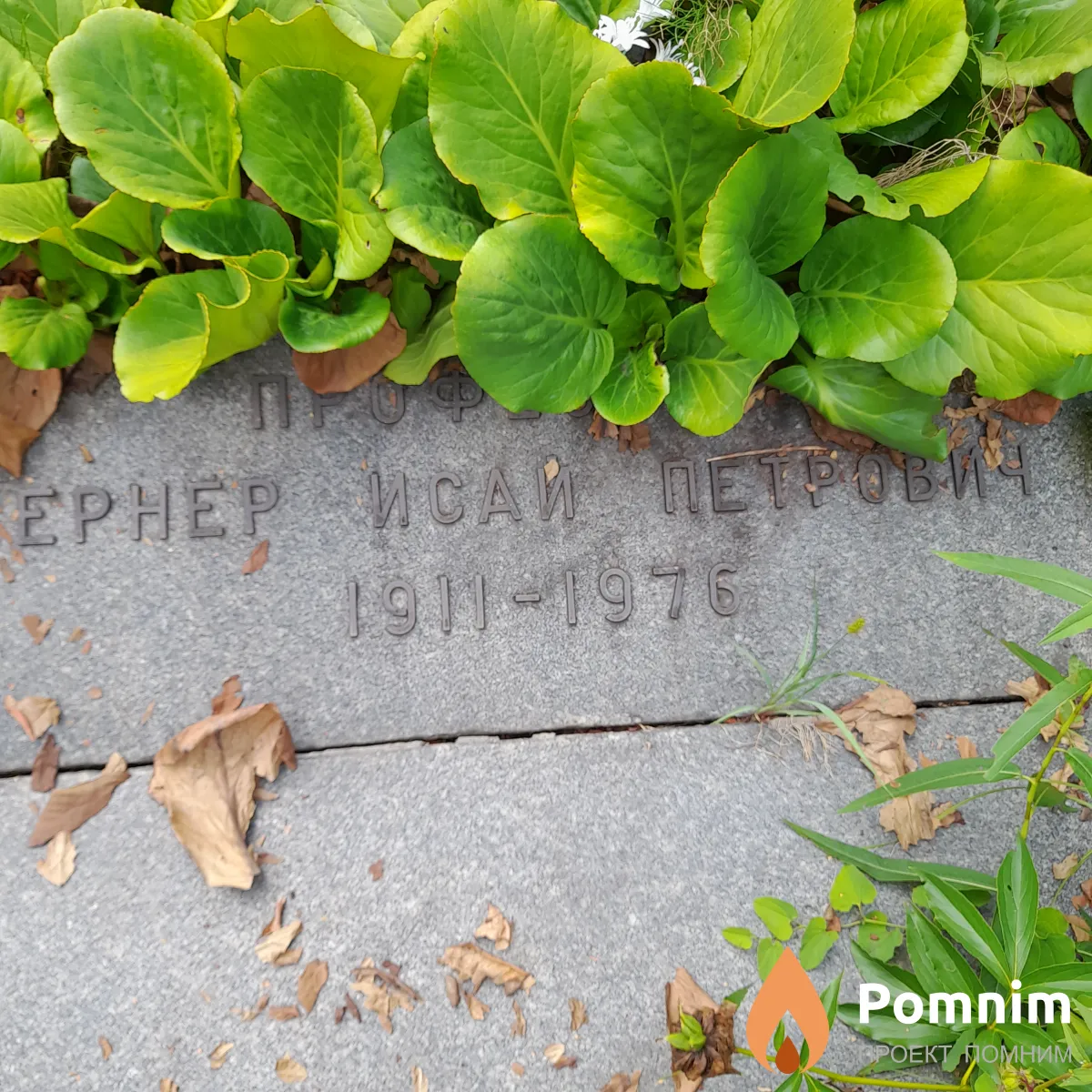 Лернер Исай Петрович