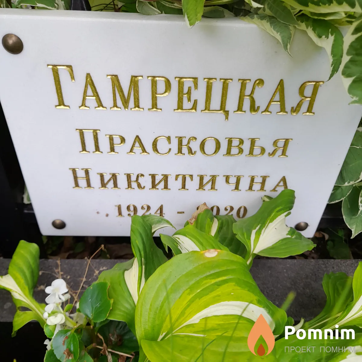 Гамрецкая Прасковья Никитичha