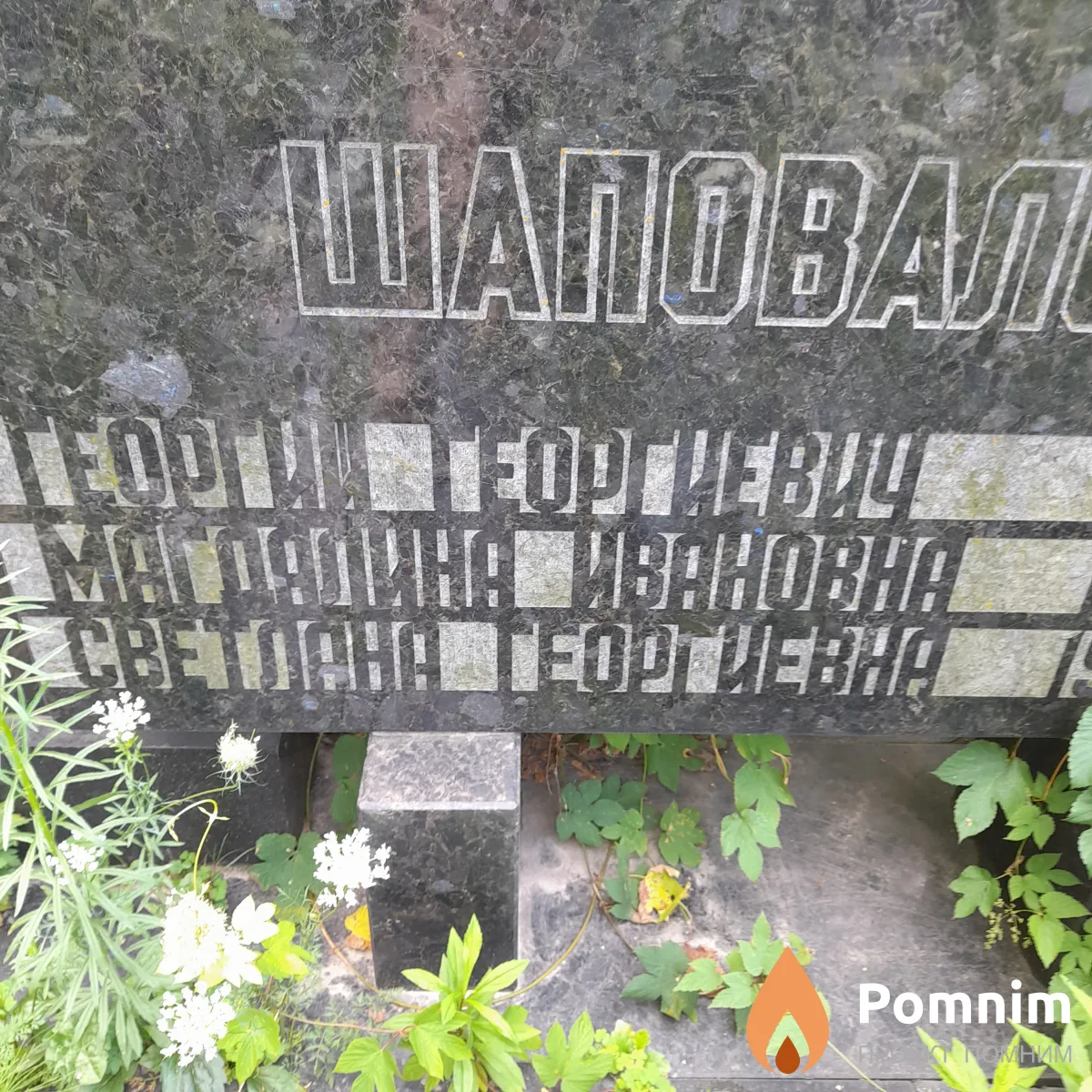 Шестопалова Светлана Георгивна
