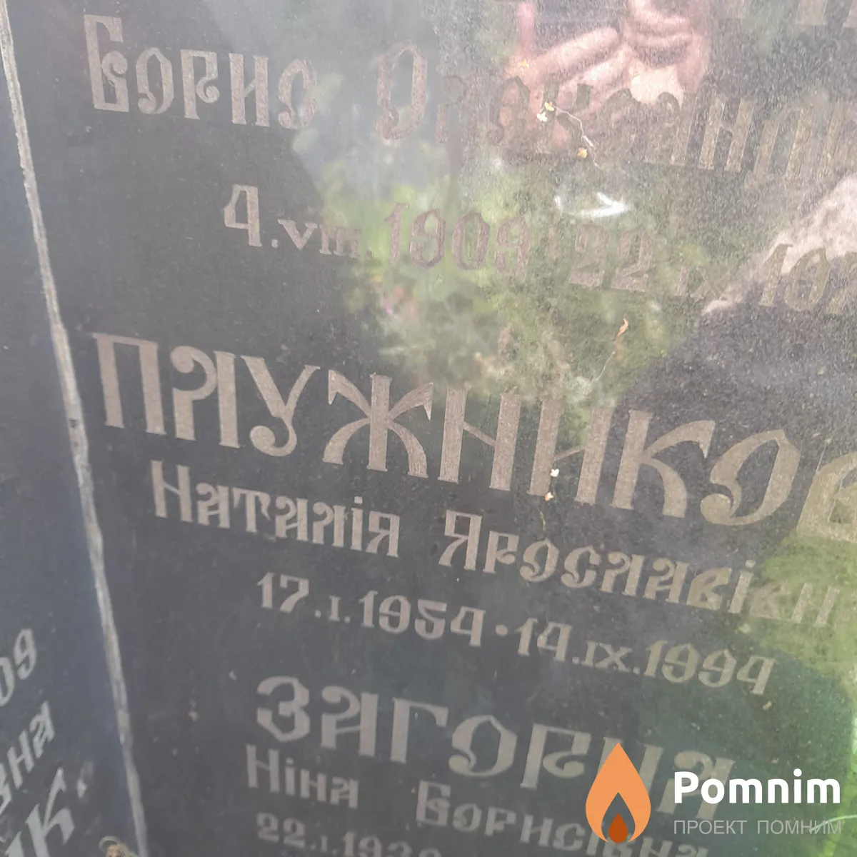 Пружникова Наталія Ярославівна