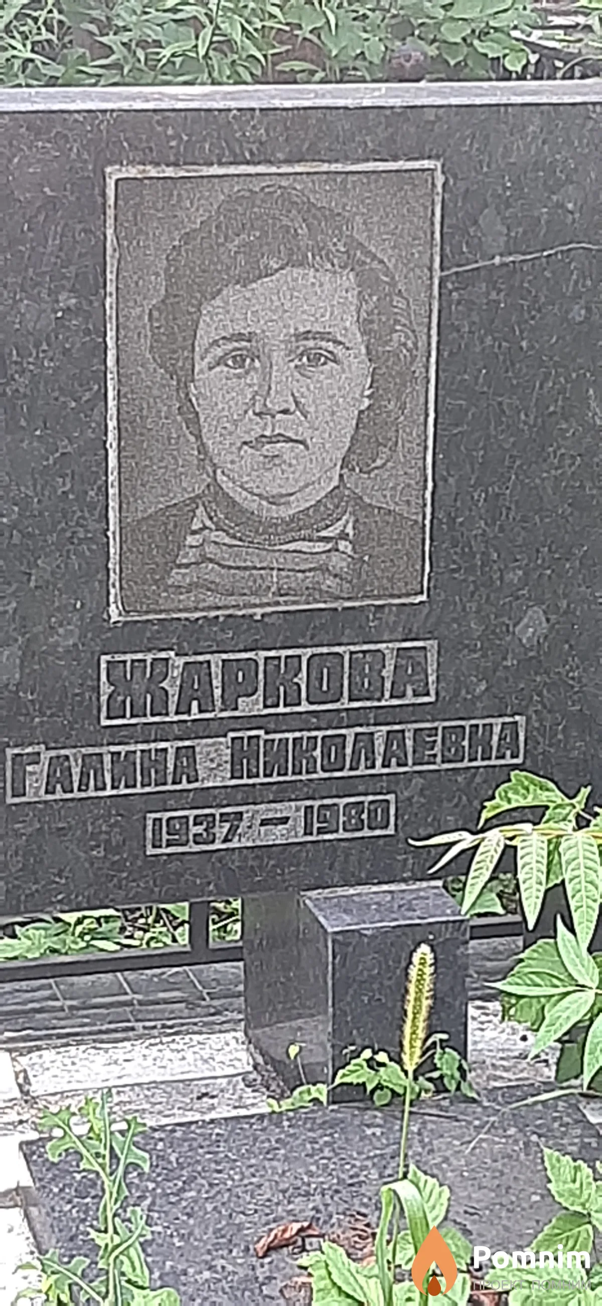 Жаркова Галина Николаевна