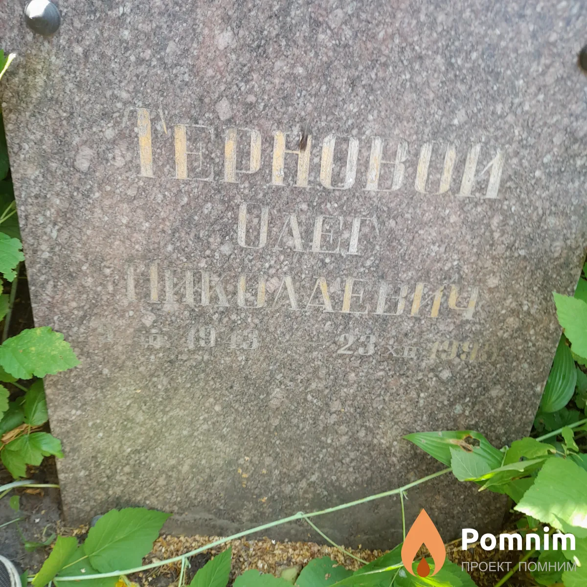 Терновой Олег Николаевич