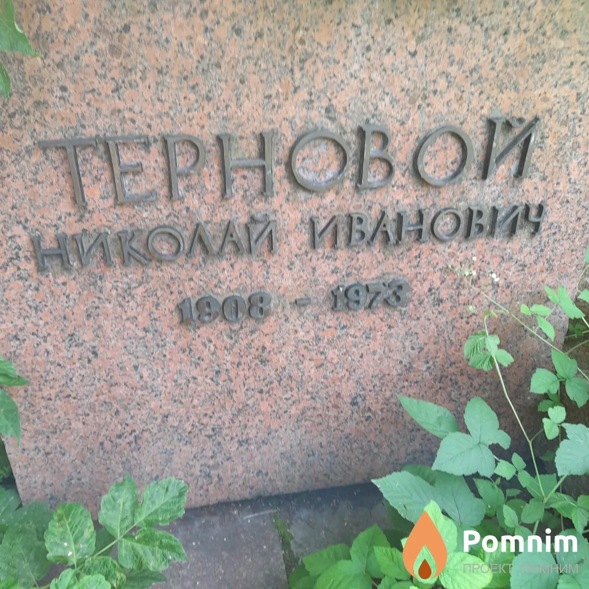 Терновой Николай Иванович