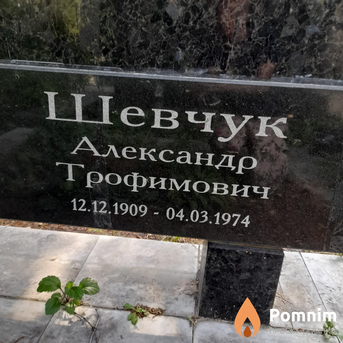 Шевчук Александр Трофимович