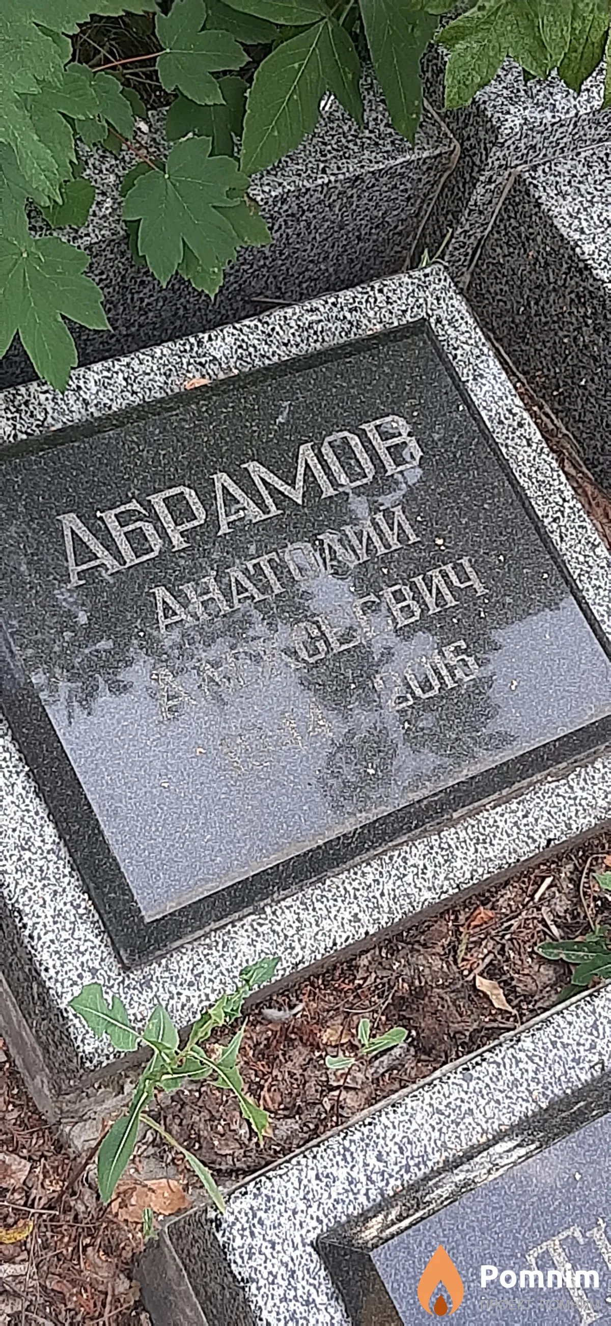 Абрамов Анатолий Алексеевич