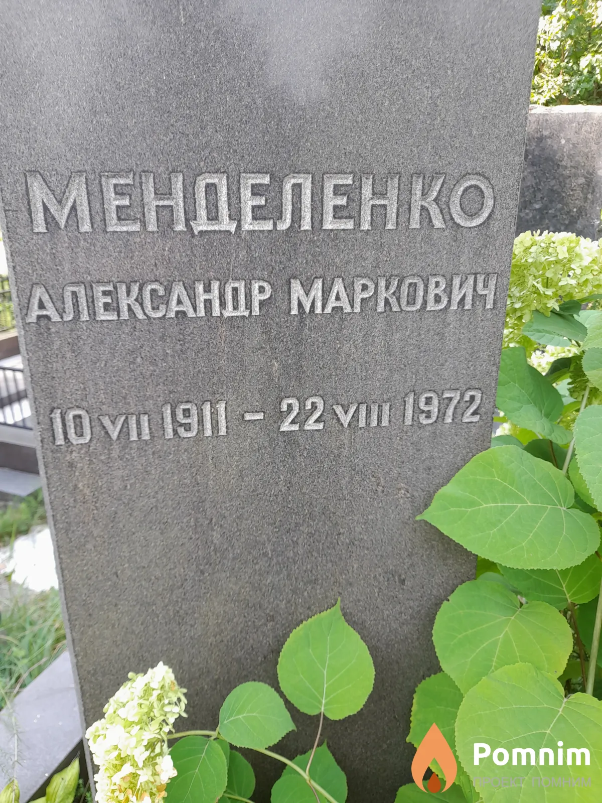 Менделенко Александр Маркович